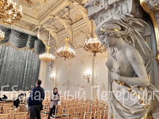 Экскурсия в дом ученых(Владимирский дворец)