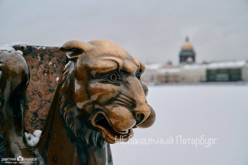 Мифы и Легенды Петербурга