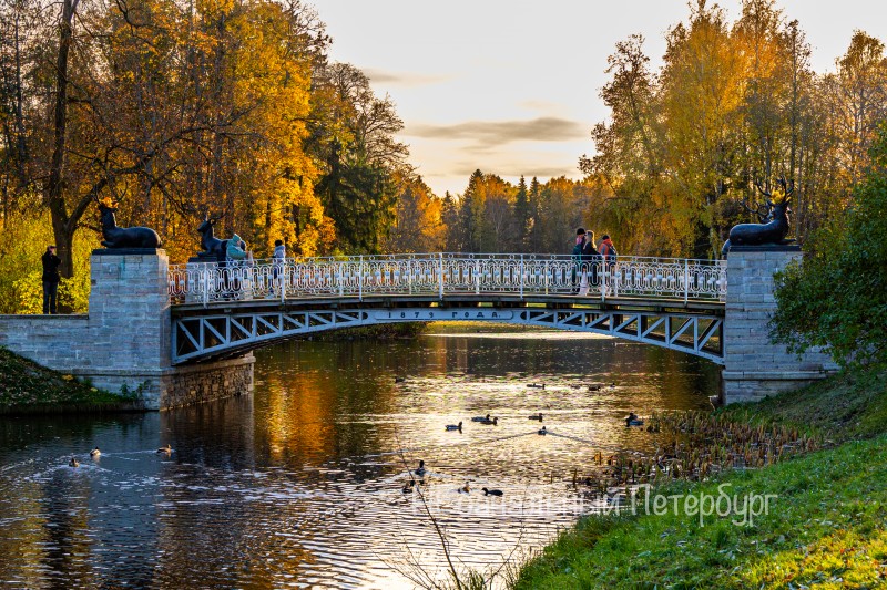 Экскурсия в Павловск