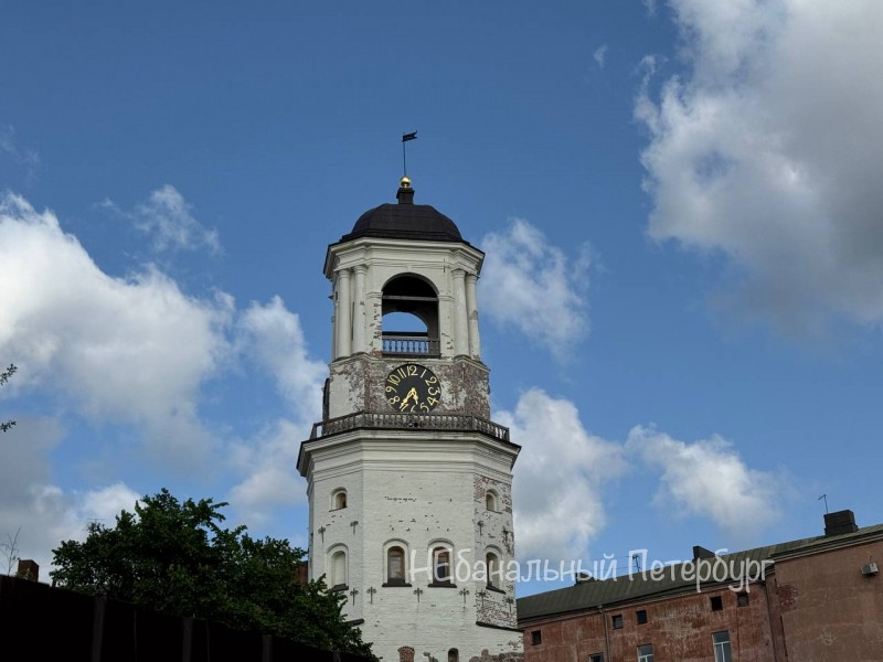 Экскурсия в Выборг (парк Монрепо)