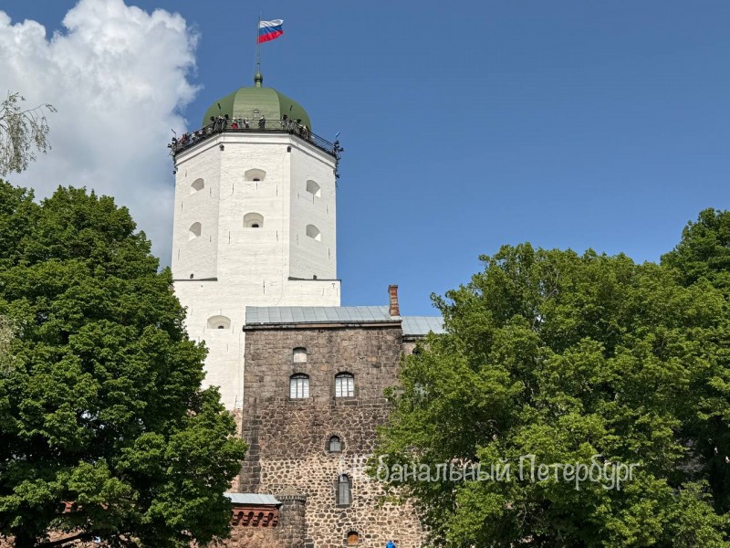 Экскурсия в Выборг (парк Монрепо)