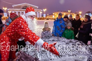 Экскурсия "Новогодний Петербург"