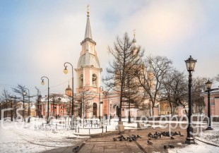 Линии Васильевского острова