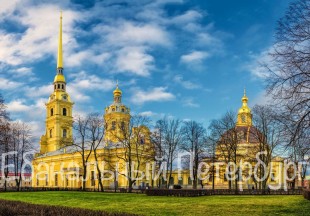 Обзорная экскурсия + Петропавловская крепость 